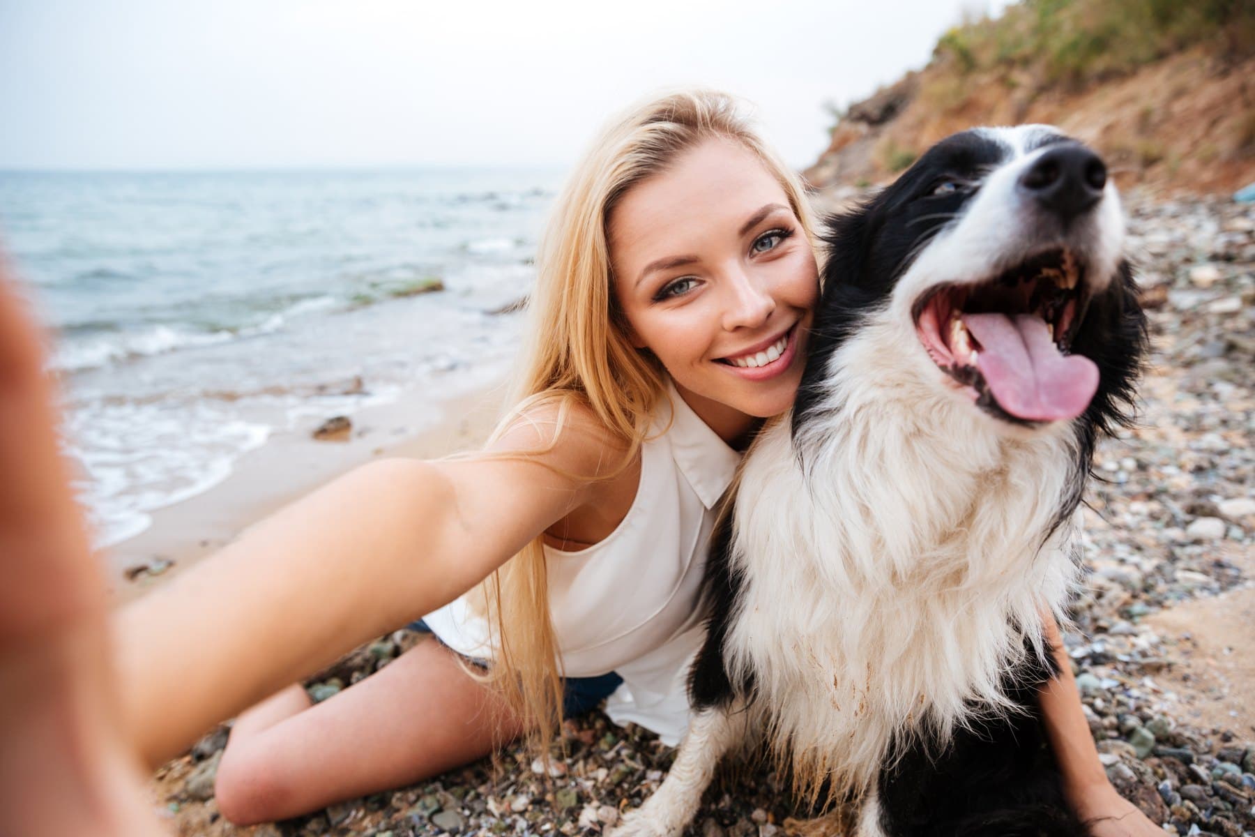 Beach photo with dog